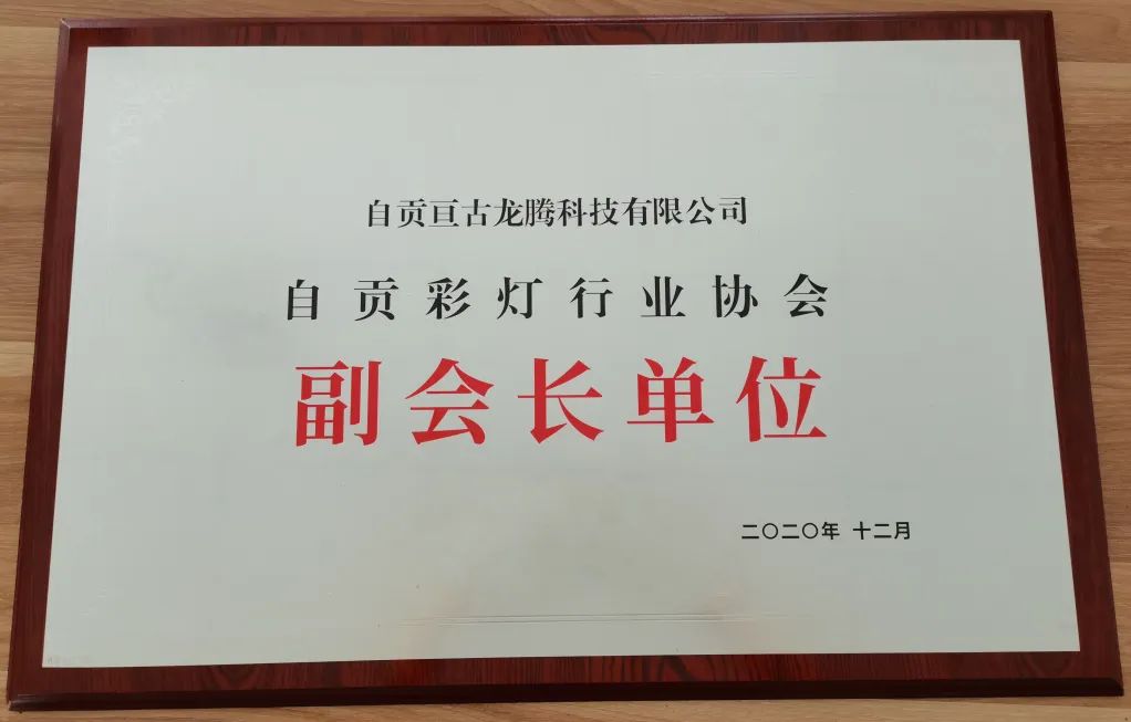 自貢彩燈行業(yè)協(xié)會正式成立，恭喜亙古被授牌“協(xié)會副會長單位”